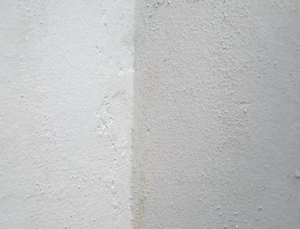 Benefits of Using Waterproof Plaster